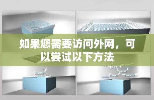 如果您需要访问外网，可以尝试以下方法