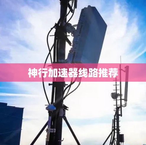 神行加速器线路推荐