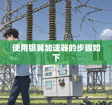 使用银翼加速器的步骤如下