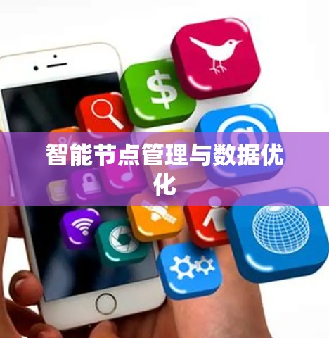 智能节点管理与数据优化