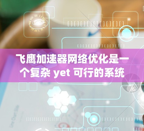飞鹰加速器网络优化是一个复杂 yet 可行的系统工程，涉及多个关键方面。以下是对该网络优化的详细分析和建议