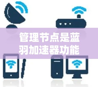 管理节点是蓝羽加速器功能的重要组成部分，以下是详细的步骤指南
