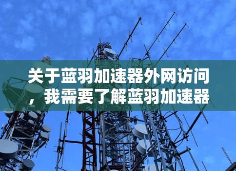 关于蓝羽加速器外网访问，我需要了解蓝羽加速器的具体功能和使用情况。蓝羽加速器通常用于加速网页浏览和下载，使其更流畅。然而，访问外部网络通常需要VPN或特定的网络配置