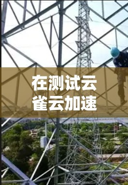 在测试云雀云加速器时遇到问题，可以按照以下步骤进行排查和解决