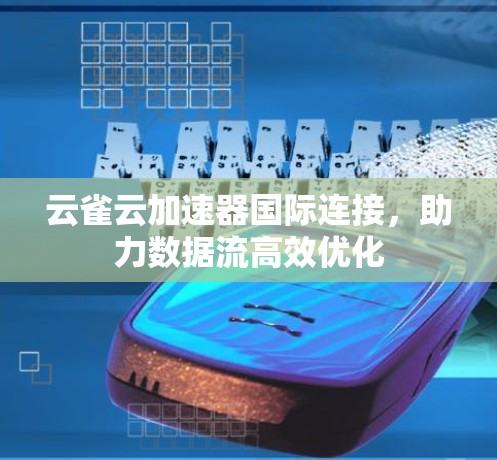 云雀云加速器国际连接，助力数据流高效优化