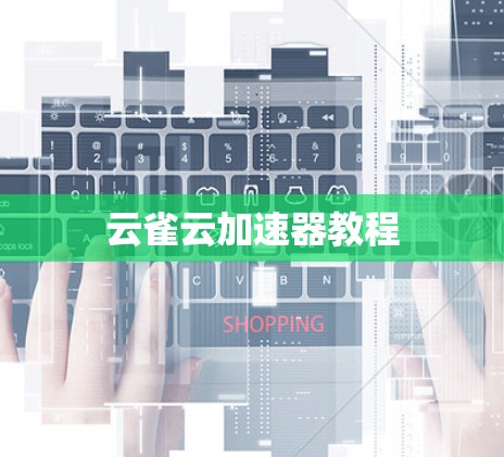 云雀云加速器教程