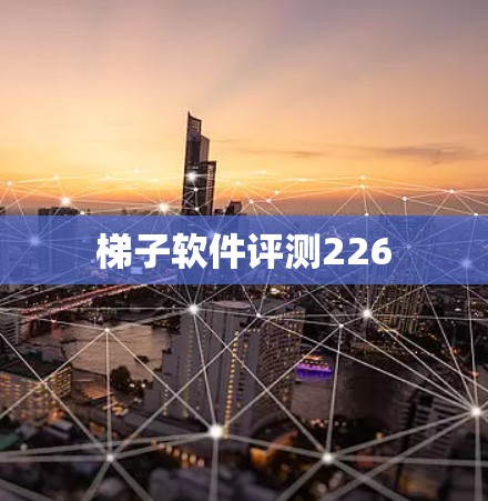 梯子软件评测226