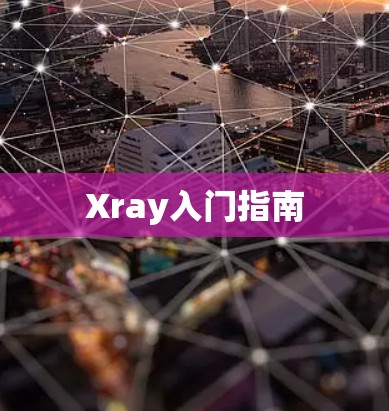 Xray入门指南