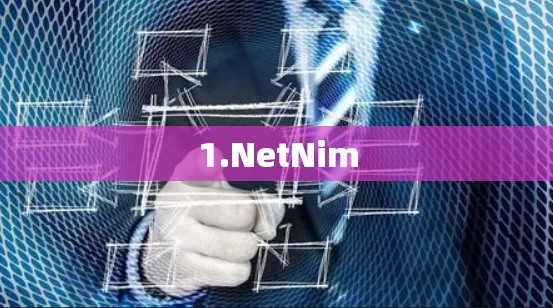 1.NetNim