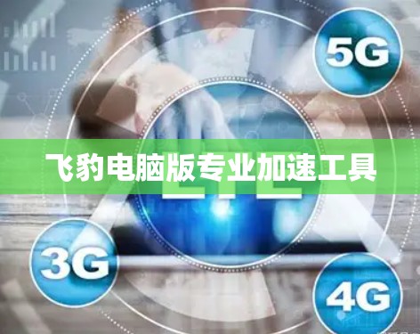 飞豹电脑版专业加速工具