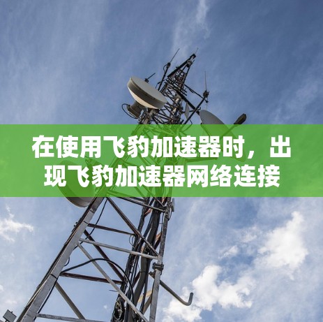 在使用飞豹加速器时，出现飞豹加速器网络连接不支持的提示，需要考虑以下几点来优化和解决问题