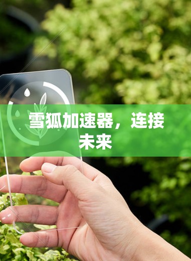 雪狐加速器，连接未来