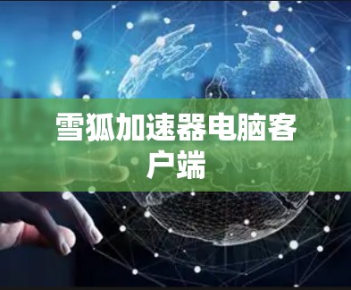 雪狐加速器电脑客户端