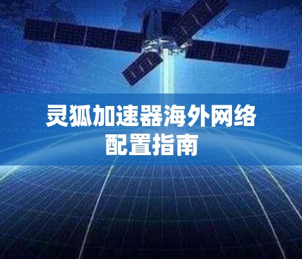 灵狐加速器海外网络配置指南