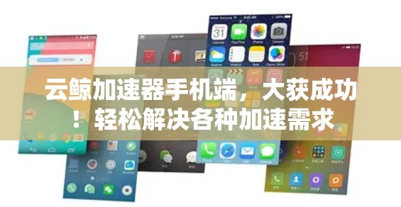 云鲸加速器手机端，大获成功！轻松解决各种加速需求