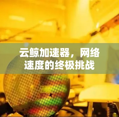 云鲸加速器,网络速度的终极挑战 云鲸加速器,网络速度的终极挑战