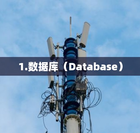 1.数据库(Database) 1.数据库(Database)