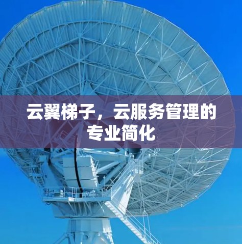 云翼梯子,云服务管理的专业简化 云翼梯子,云服务管理的专业简化