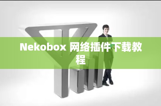 Nekobox 网络插件下载教程 Nekobox 网络插件下载教程
