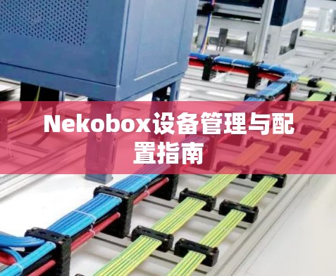 Nekobox设备管理与配置指南 Nekobox设备管理与配置指南