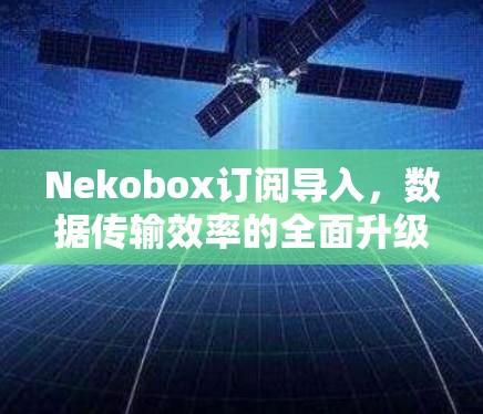 Nekobox订阅导入,数据传输效率的全面升级与用户体验的显著提升 Nekobox订阅导入,数据传输效率的全面升级与用户体验的显著提升