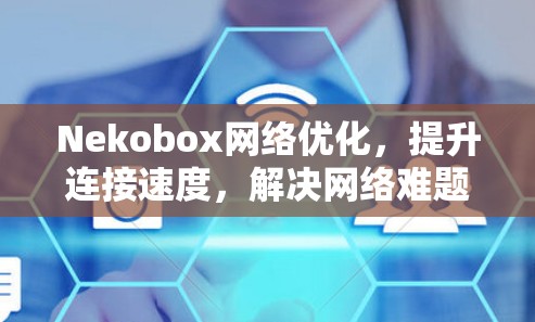 Nekobox网络优化，提升连接速度，解决网络难题