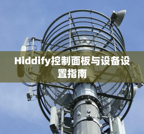 Hiddify控制面板与设备设置指南