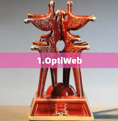 1.OptiWeb