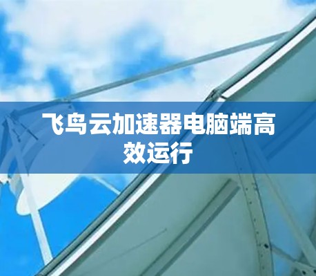 飞鸟云加速器电脑端高效运行 飞鸟云加速器电脑端高效运行