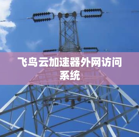 飞鸟云加速器外网访问系统 飞鸟云加速器外网访问系统
