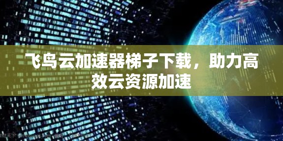 飞鸟云加速器梯子下载，助力高效云资源加速
