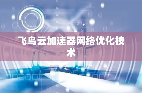 飞鸟云加速器网络优化技术 飞鸟云加速器网络优化技术