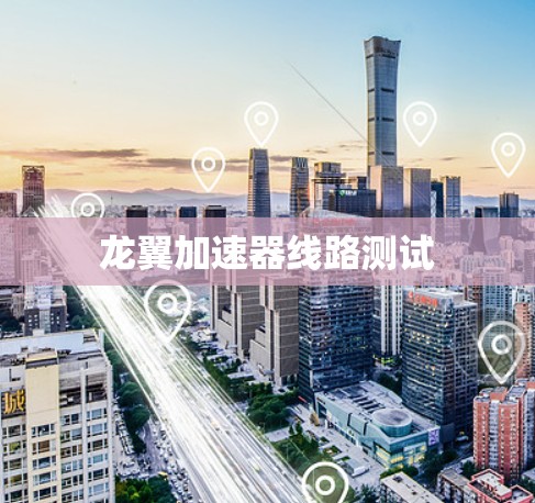 龙翼加速器线路测试 龙翼加速器线路测试