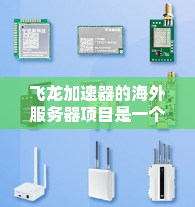 飞龙加速器的海外服务器项目是一个复杂而重要的项目,涉及多个技术领域和挑战。以下是对该项目的详细分析和解决方案 飞龙加速器的海外服务器项目是一个复杂而重要的项目,涉及多个技术领域和挑战。以下是对该项目的详细分析和解决方案