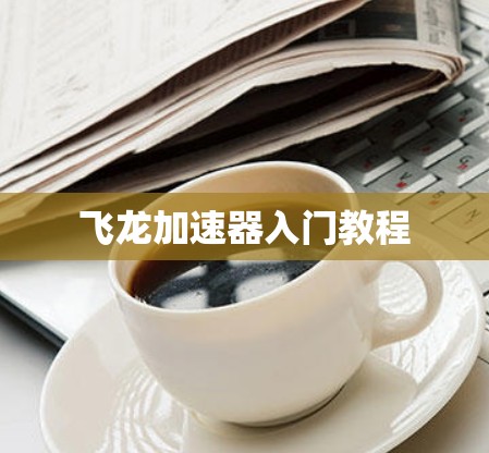 飞龙加速器入门教程 飞龙加速器入门教程