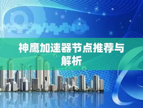 神鹰加速器节点推荐与解析