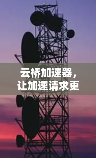 云桥加速器，让加速请求更高效
