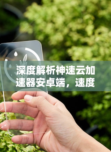 深度解析神速云加速器安卓端，速度与安全的平衡