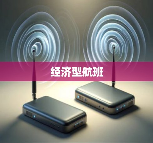 经济型航班