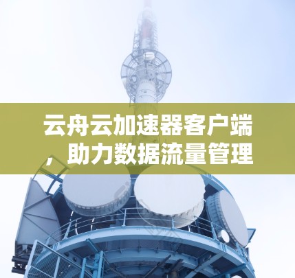 云舟云加速器客户端，助力数据流量管理与优化