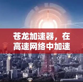 苍龙加速器,在高速网络中加速数据传输 苍龙加速器,在高速网络中加速数据传输