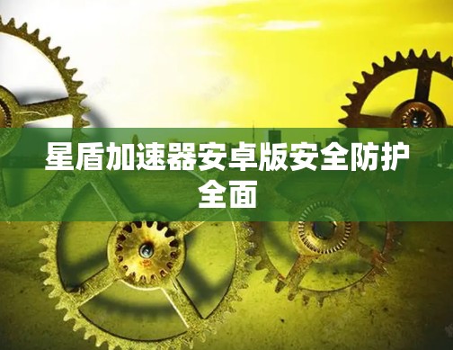 星盾加速器安卓版安全防护全面 星盾加速器安卓版安全防护全面