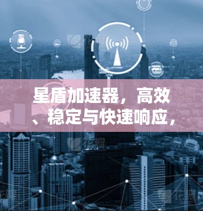星盾加速器,高效、稳定与快速响应,助力加速器加速器优化 星盾加速器,高效、稳定与快速响应,助力加速器加速器优化