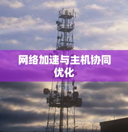 网络加速与主机协同优化 网络加速与主机协同优化