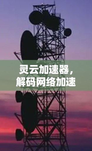 灵云加速器,解码网络加速,优化您的网络体验 灵云加速器,解码网络加速,优化您的网络体验