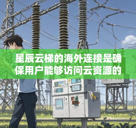 星辰云梯的海外连接是确保用户能够访问云资源的必要步骤，涉及多个配置选项，确保所有服务器都能正常访问云资源。以下是一步步的指南