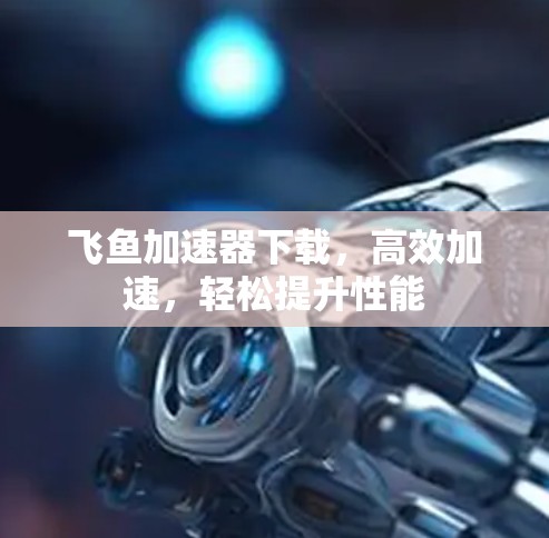 飞鱼加速器下载，高效加速，轻松提升性能