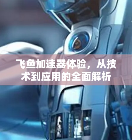 飞鱼加速器体验,从技术到应用的全面解析 飞鱼加速器体验,从技术到应用的全面解析