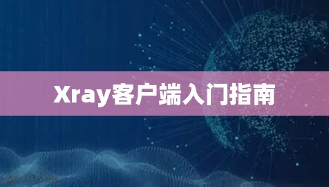 Xray客户端入门指南 Xray客户端入门指南