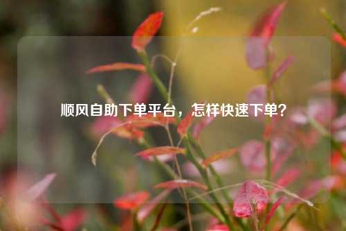 顺风自助下单平台，怎样快速下单？